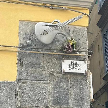 Carma Apartment